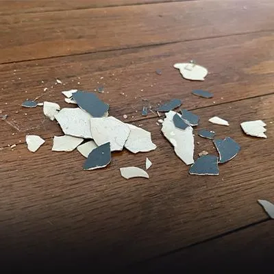 Tenant Lead Poisoning